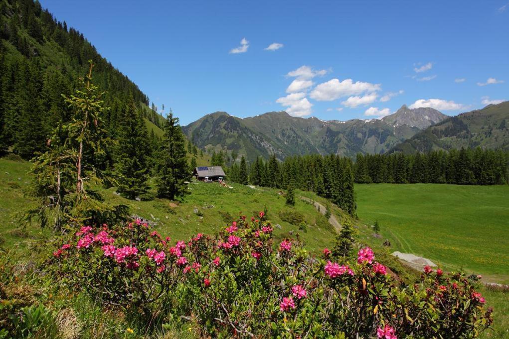 Naturhotel Huettenwirt Im Grossarltal Хютчлаг Экстерьер фото