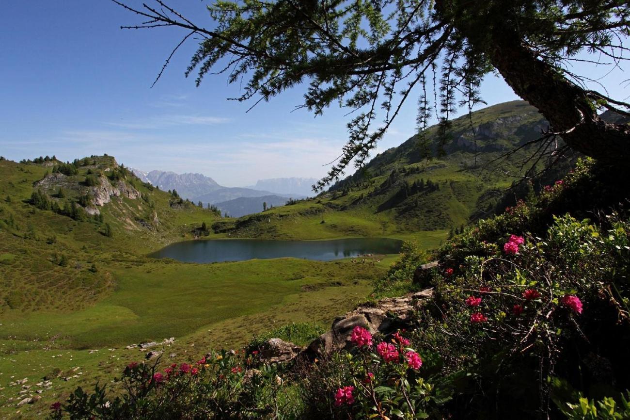Naturhotel Huettenwirt Im Grossarltal Хютчлаг Экстерьер фото